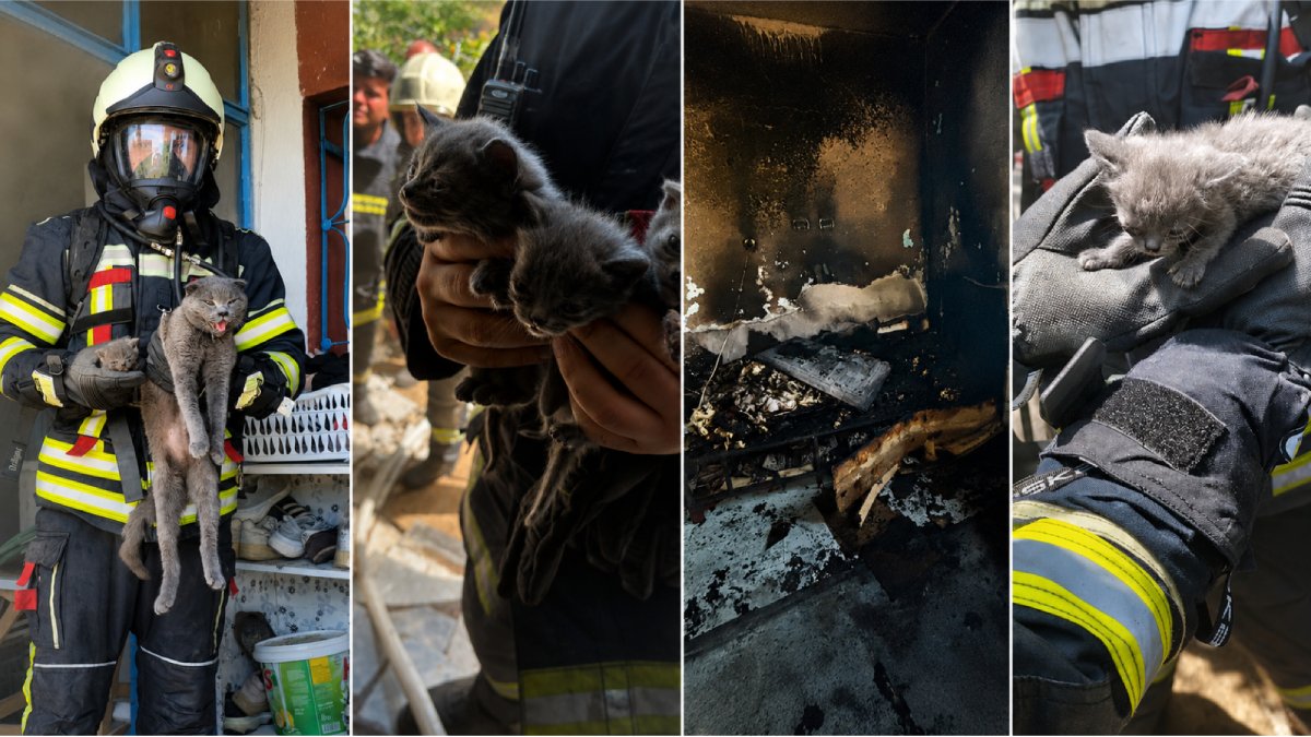 Kayseri'de itfaiye yangında mahsur kalan anne kedi ve yavrularını kurtardı