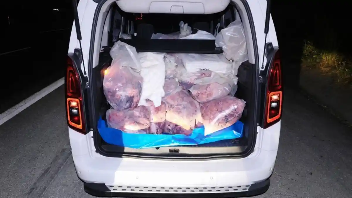 Mersin'de jandarmadan geçit yok: 877 kilo hijyensiz sakatat yakalandı