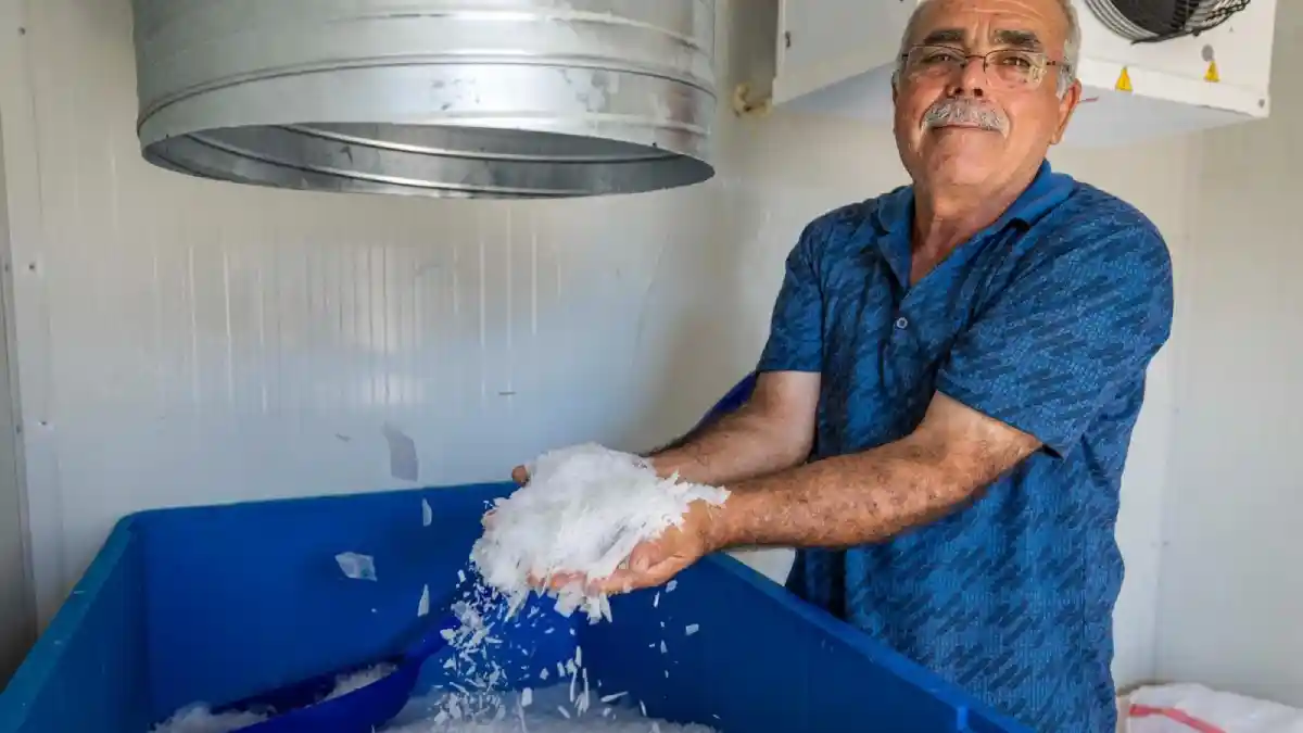 İzmir Büyükşehir Belediyesi'nden balıkçılara destek: Ücretsiz buz üretimi başladı