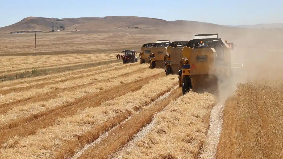 Tarımsal destekleme ödemeleri hesaplarda: 301 milyon TL aktarılıyor