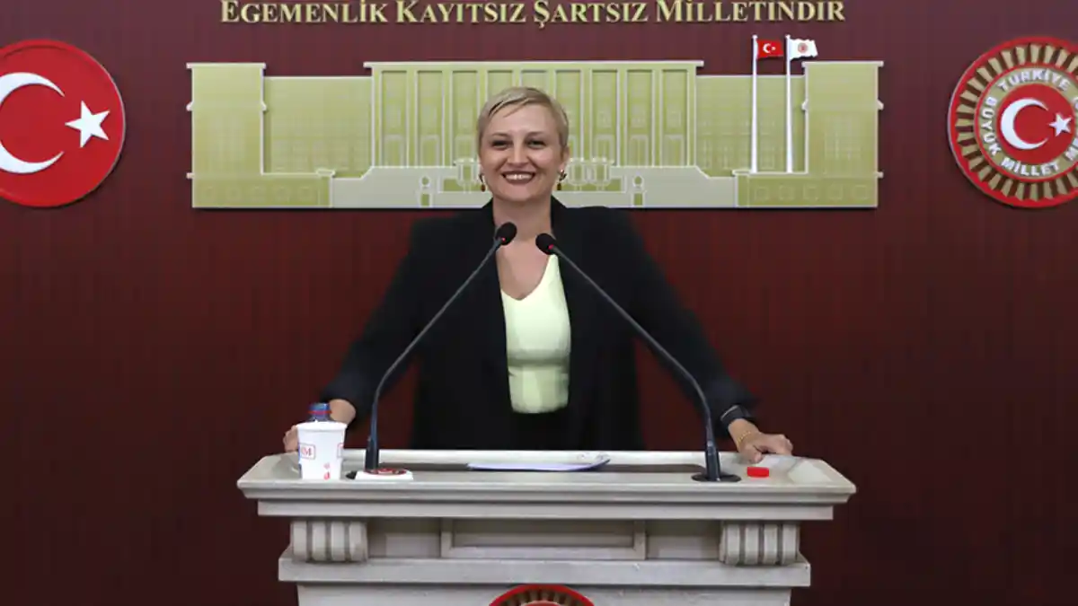 DEM Partili Perihan Koca Doğan: "Tüm risklere rağmen 'evet' diyeceğiz"