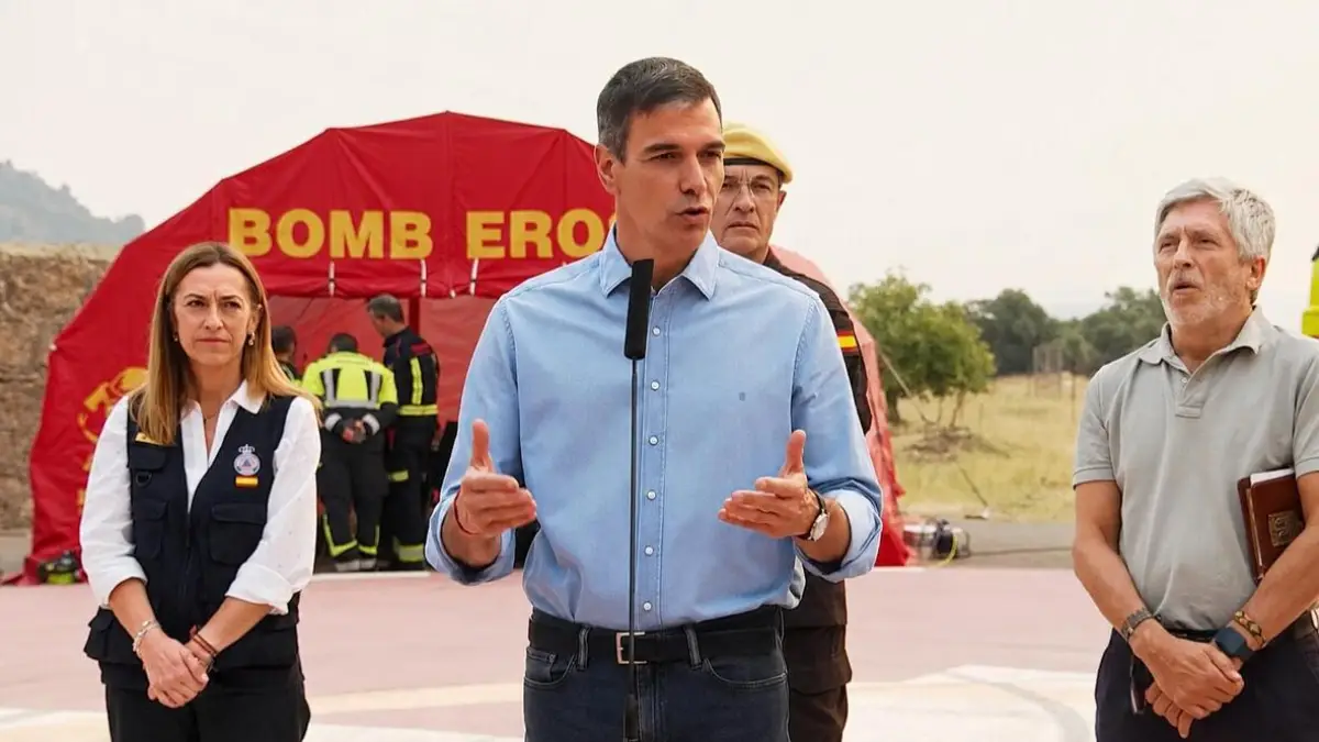 İspanya Başbakanı Pedro Sanchez'den iklim pakti çağrısı: 130 bin hektar alan kül oldu