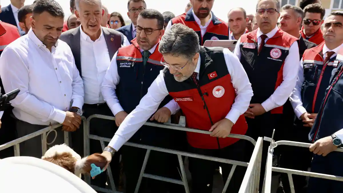 Hayvancılıkta dijital devrim: GEKİS projesi Kars'ta başlatıldı