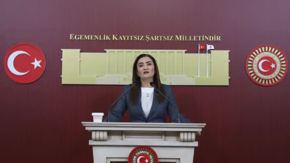 CHP'den kanun teklifine destek: Silahsızlanma gerçek ve denetlenebilir olmalı
