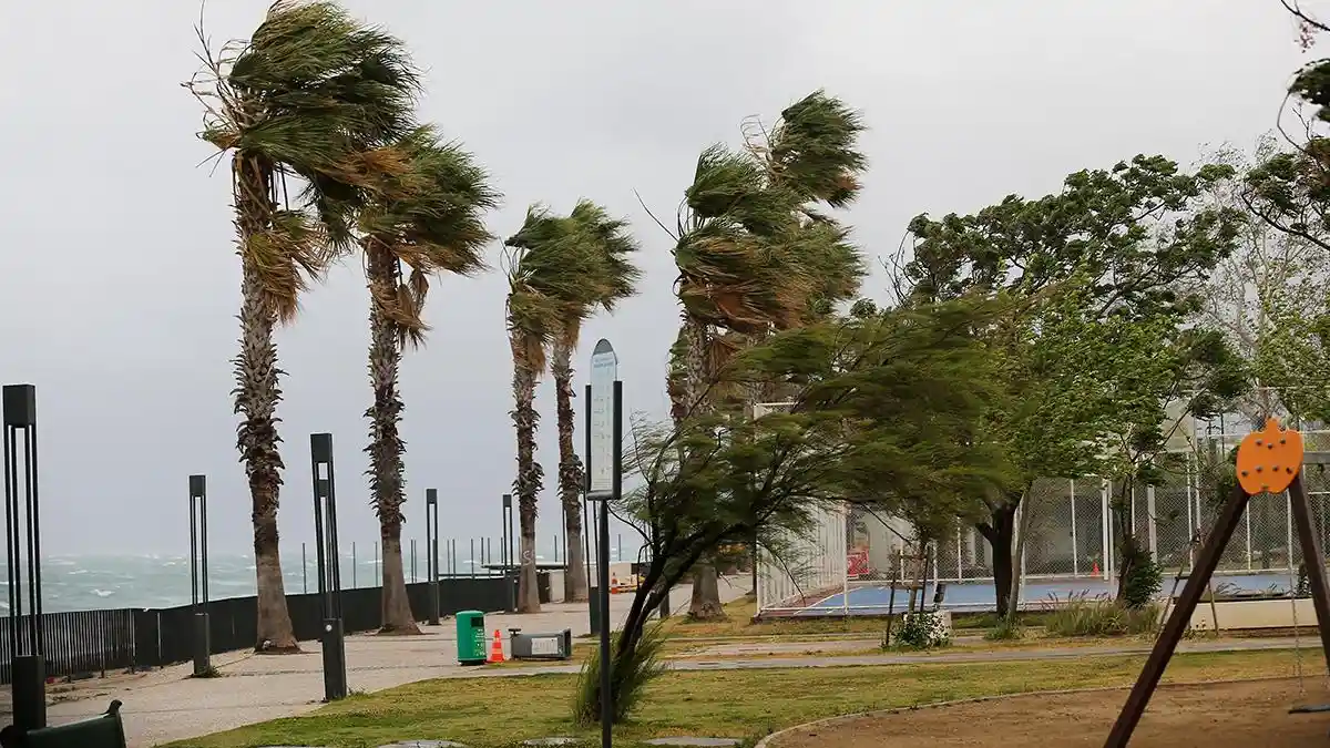 Meteoroloji'den kuvvetli rüzgar uyarısı: Marmara ve Kuzey Ege dikkat