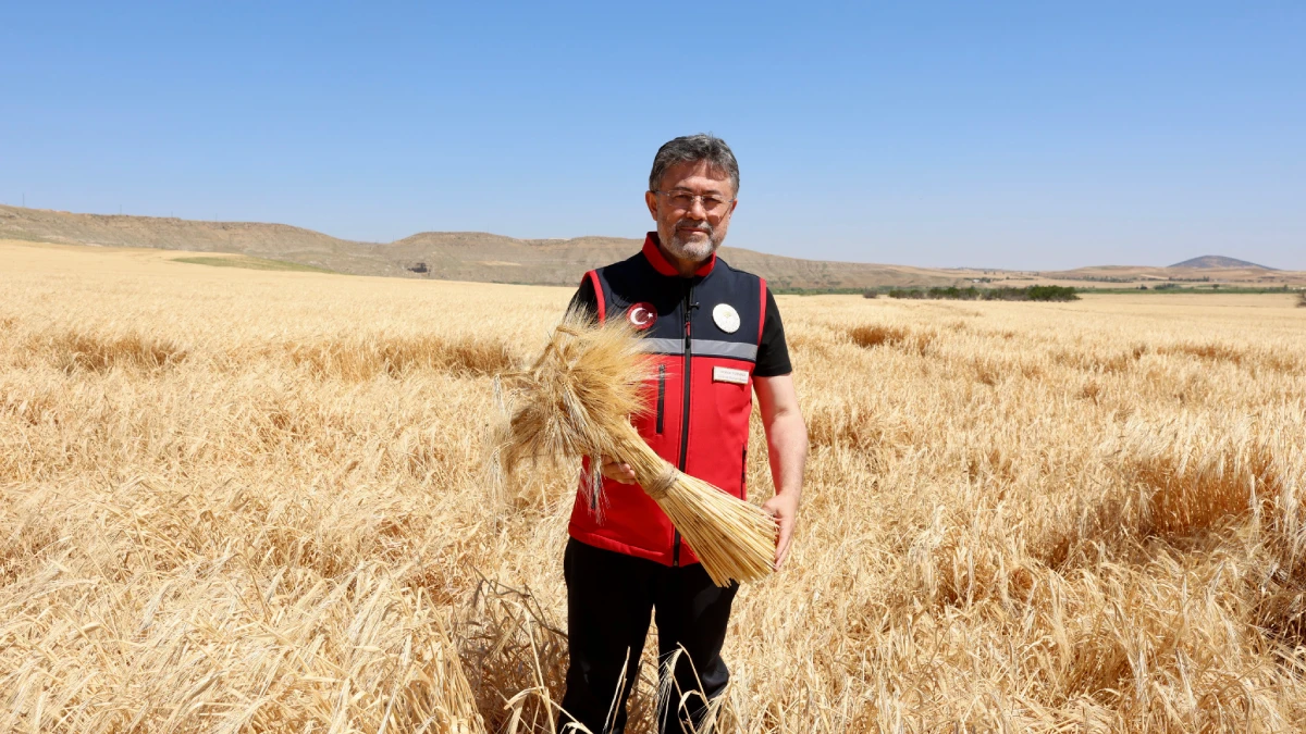 Bakan Yumaklı Kırıkkale’de arpa hasadına katıldı: Mera ıslah projesi tanıtıldı