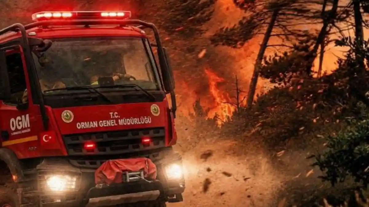 Tarım ve Orman Bakanlığı'ndan Yeşil Vatan uyarısı: "Ormanlık alanlarda kesinlikle ateş yakmayın"