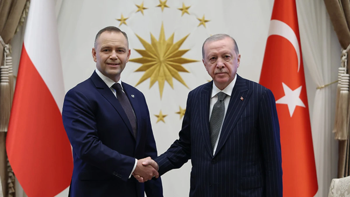 Cumhurbaşkanı Erdoğan, Polonya Cumhurbaşkanı Nawrocki'yi resmi törenle karşıladı