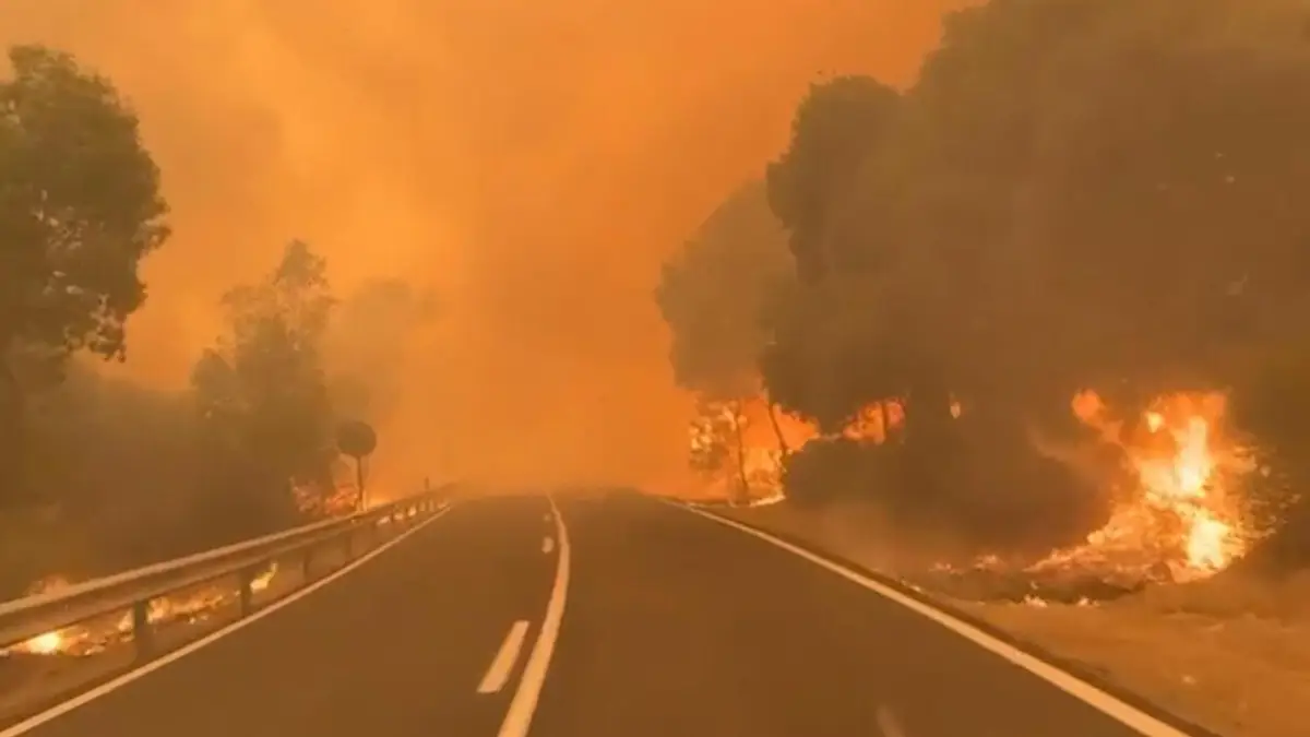 İspanya'da orman yangını felaketi: Madrid yakınlarında 11 binden fazla kişi tahliye edildi