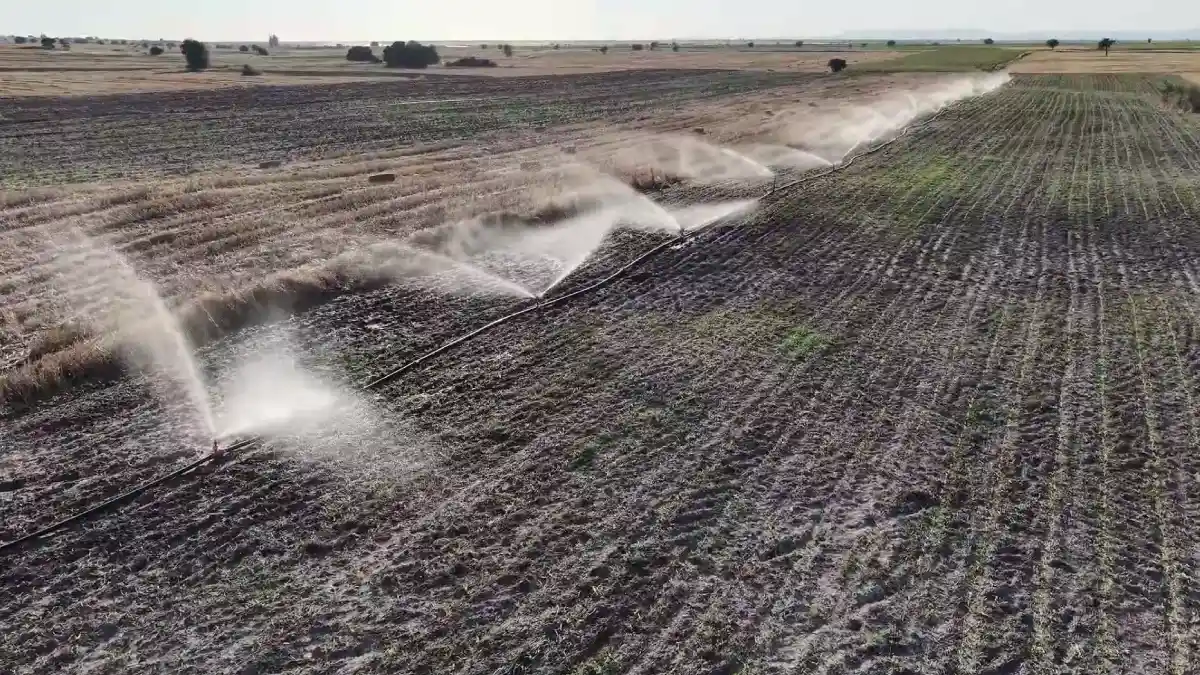 Edirne Enez'de 10 bin 500 dekar tarım arazisi suyla buluşacak