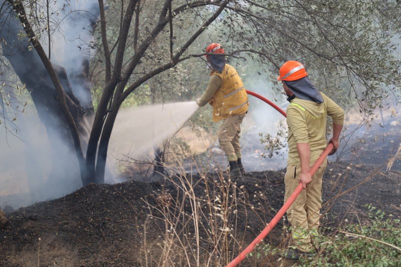 Fethiye'de orman dışı alanda çıkan yangının enerjisi düşürüldü — görsel 3