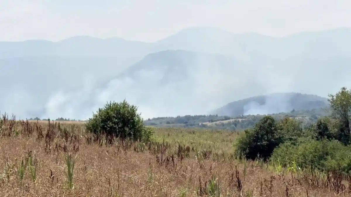 Bulgaristan'da mühimmat deposunda patlama: Tesis küle döndü