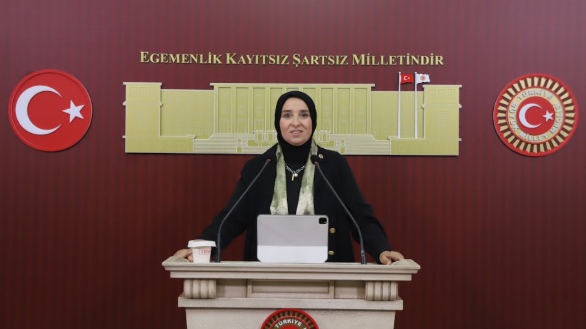Yeni Yol Partili Elif Esen'den çağrı: "Türkiye acilen Tarımsal Kuşak Yenilenmesi Programı başlatmalı"