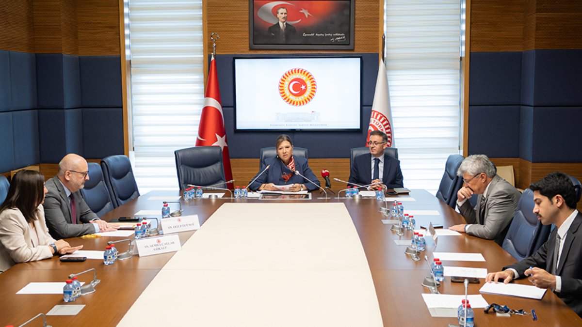 TBMM Alt Komisyonu toplandı: Yunanistan'ın okul kapatma kararlarına ve sınır kapılarına ilişkin kritik mesajlar