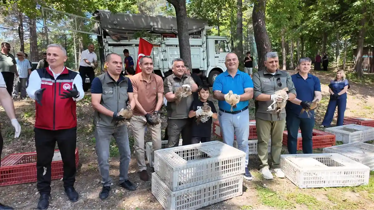 Doğa Koruma ve Milli Parklar'dan kokarca mücadelesi: Sülünler doğaya salındı