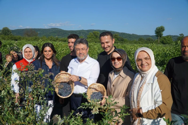 AK Parti Grup Başkanvekili Leyla Şahin Usta, Ankara Milletvekili Jülide Sarıeroğlu ve Düzce Milletvekili Ayşe Keşir ile birlikte Düzce’de Muhammed Bilal Köse’nin yaban mersini bahçesinde
