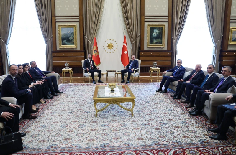 Cumhurbaşkanı Recep Tayyip Erdoğan, Karadağ Başbakanı Milojko Spajic ile Ankara’da bir araya geldi.